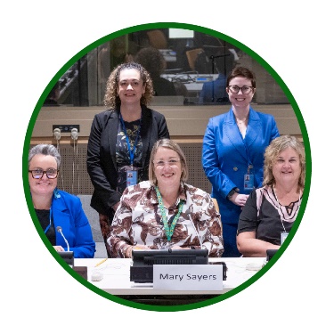 Council members at the meeting.