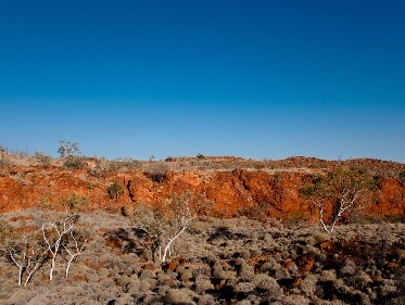 A photo of a desert landscape, with trees and grasses.