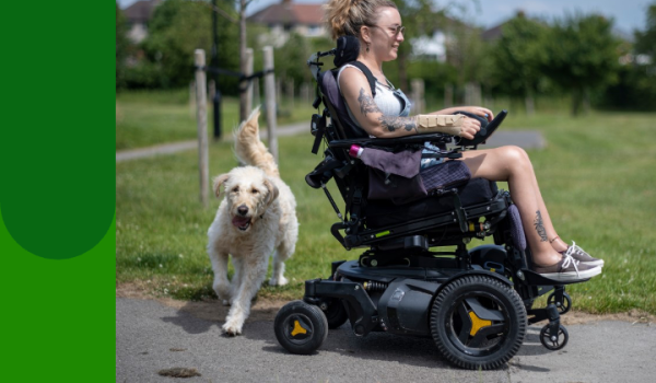 Woman in wheelchair walking dog
